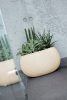 Prosperplast Splofy Bowl Kötött Mintázatú Virágtartó Mokka 24 cm