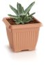 Terra Négyzetes Terrakotta Virágcserép 19 cm