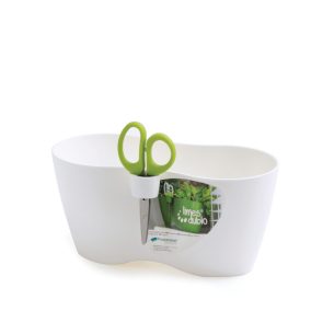 Limes Dublo Fűszernövény Cserép Fehér Ollótartóval