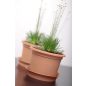 Plastica Klasszikus Terrakotta Virágtartó 15 cm Díszítéssel