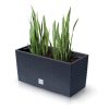 Rato Case Műrattan Balkonláda Antracit 40 cm