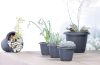 Respana Basic Antracit Virágcserép 39 cm