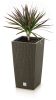 Rato Square ECO Rattan Hatású Kaspó Fehér 20x20x37,6 cm csomag