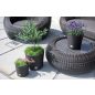 Rato Round Műanyag Kaspó Rattan Hatású Fehér 30 cm