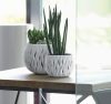 Sandy Bowl Hullám Mintás Virágtartó Kőszürke 24 cm