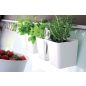 Twins Cube Dupla Fűszernövény Cserép Fehér Ollótartóval