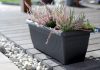 Terra Klasszikus Terrakotta Balkonláda 60 cm csomag