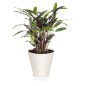 ECO Wood Tubus Kávébarna Virágcserép 30 cm