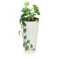 Tubus Slim ECO Kávébarna Magas Kaspó 30 cm