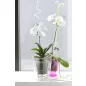 Coubi Orchidea Átlátszó Kaspó 16 cm
