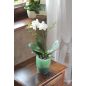 Coubi Orchidea Kaspó Lila Átlátszó 16 cm