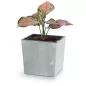 Urbi Square Alacsony Beton Hatású Virágcserép - Szürke - 29,5 cm