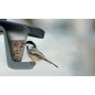 Birdyfeed Double Antracit Madáretető 280