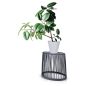 Prosperplast Clubo Dekoratív Tárolókosár Antracit 44 cm