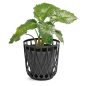Prosperplast Uniqubo Dekoratív Tárolókosár Antracit 39 cm