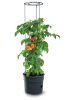 Tomato Grower Paradicsom Termesztő Cserép Antracit 29,5 cm