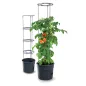 Tomato Grower Paradicsom Termesztő Cserép Antracit 35 cm