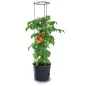 Tomato Grower Paradicsom Termesztő Cserép Antracit 35 cm