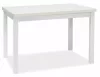 Adam 120 Fehér Matt Étkezőasztal Laminált MDF
