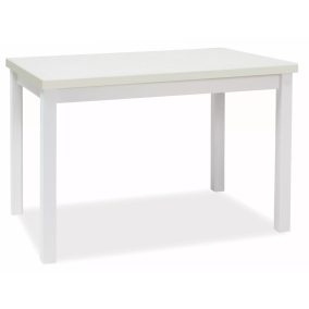 Adam 120 Fehér Matt Étkezőasztal Laminált MDF