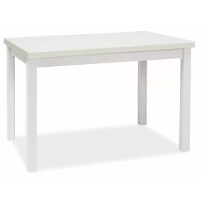 Adam 120 Fehér Matt Étkezőasztal Laminált MDF