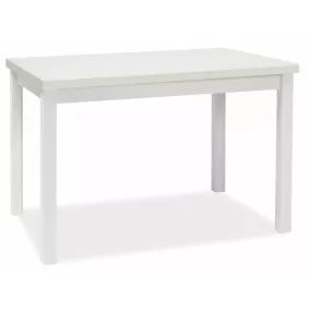 Adam 120 Fehér Matt Étkezőasztal Laminált MDF