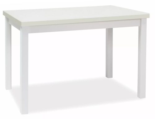 Adam 120 Fehér Matt Étkezőasztal Laminált MDF