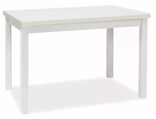 Adam 120 Fehér Matt Étkezőasztal Laminált MDF
