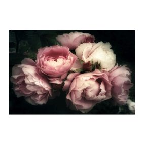   Flowers I Rózsaszín Bazsarózsa Edzett Üveg Fali Kép 120x80