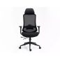 Ergon Professional Hálós Ergonomikus Irodai Szék Fekete Multiblock
