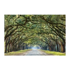 Trees I Edzett Üveg Fasor Kép 120x80